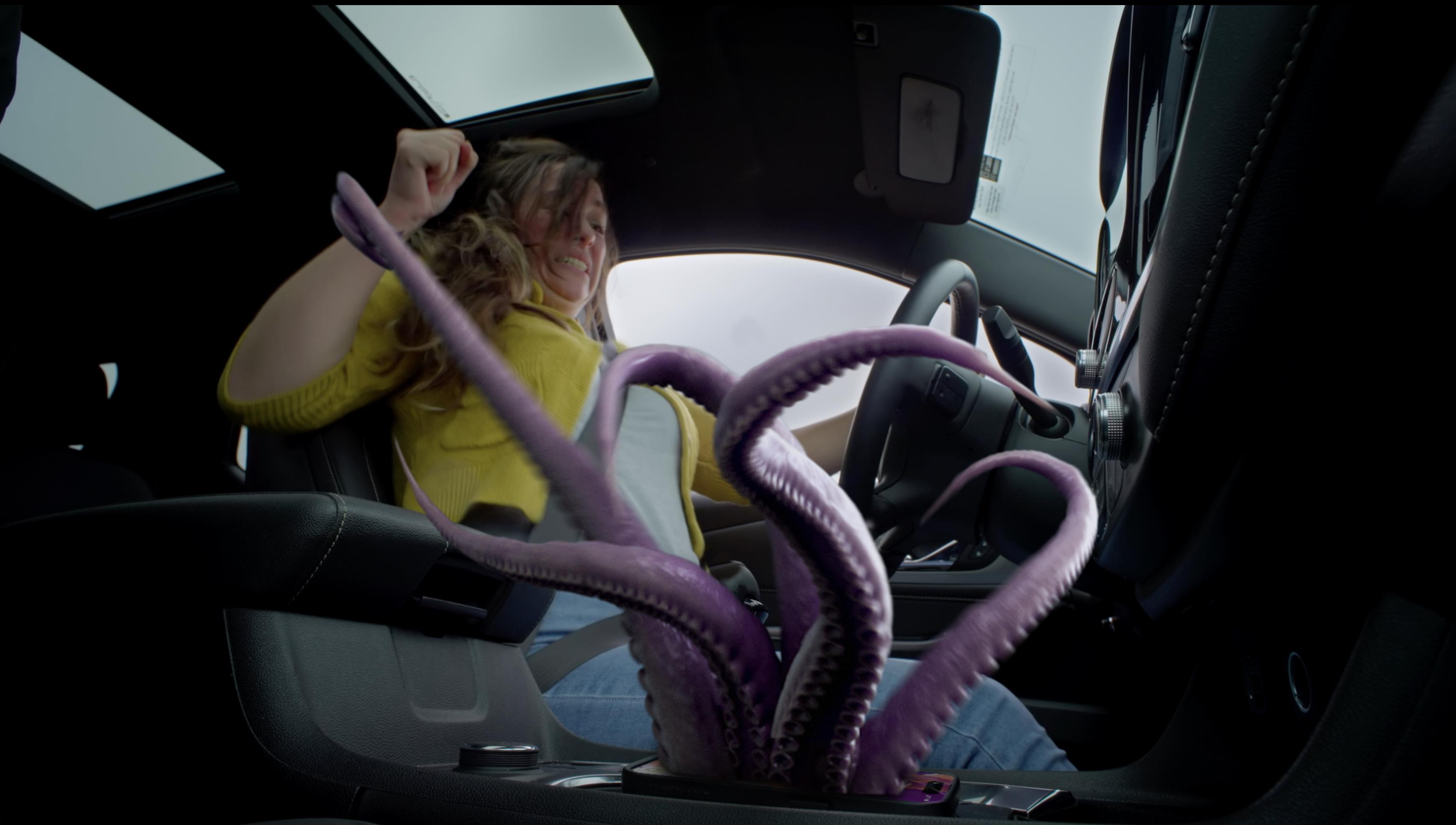Distracted Driving is a Beast