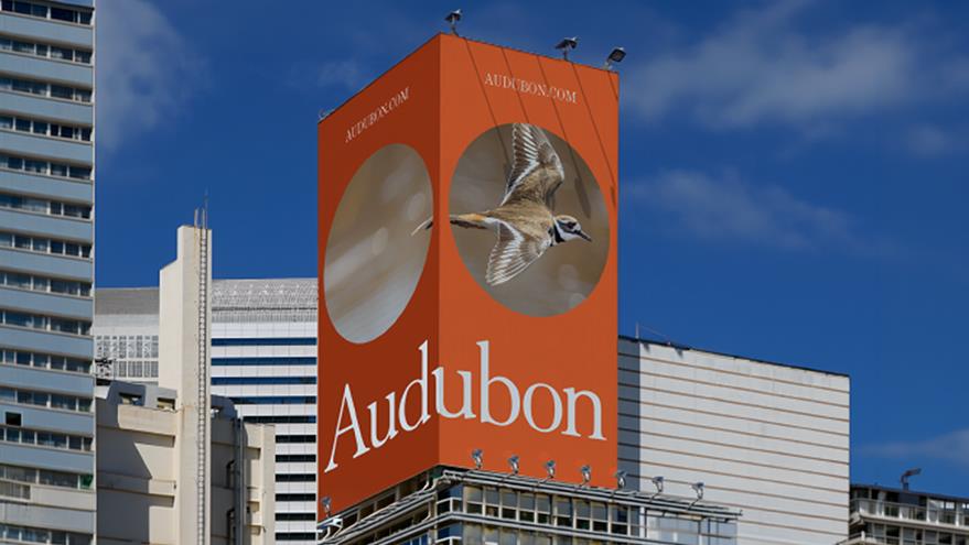 Audubon Manifesto Video