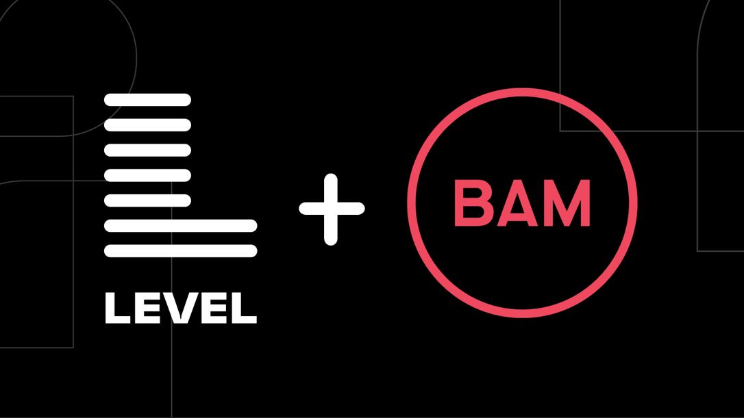 Level acquires BAM Strategy to expand full-lifecycle growth capabilities