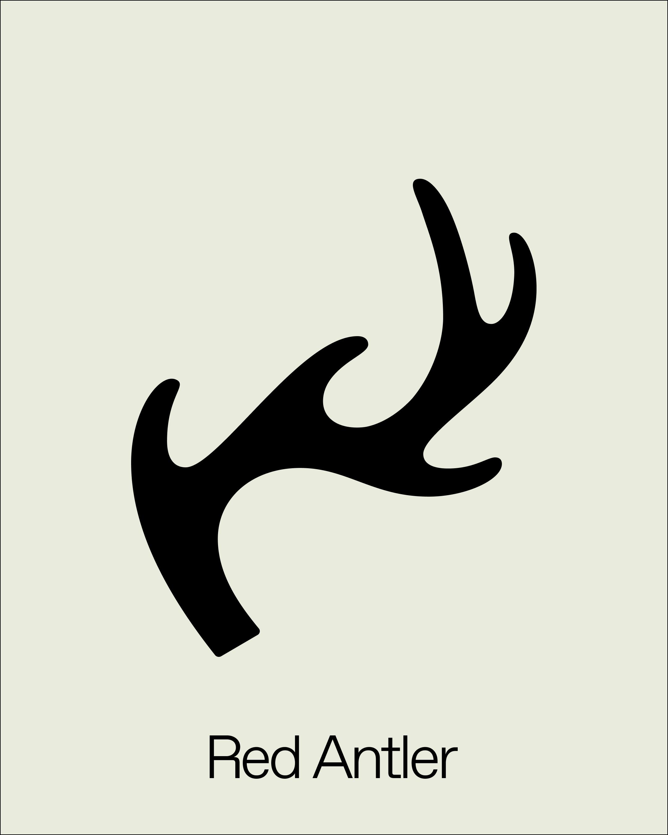 Red Antler
