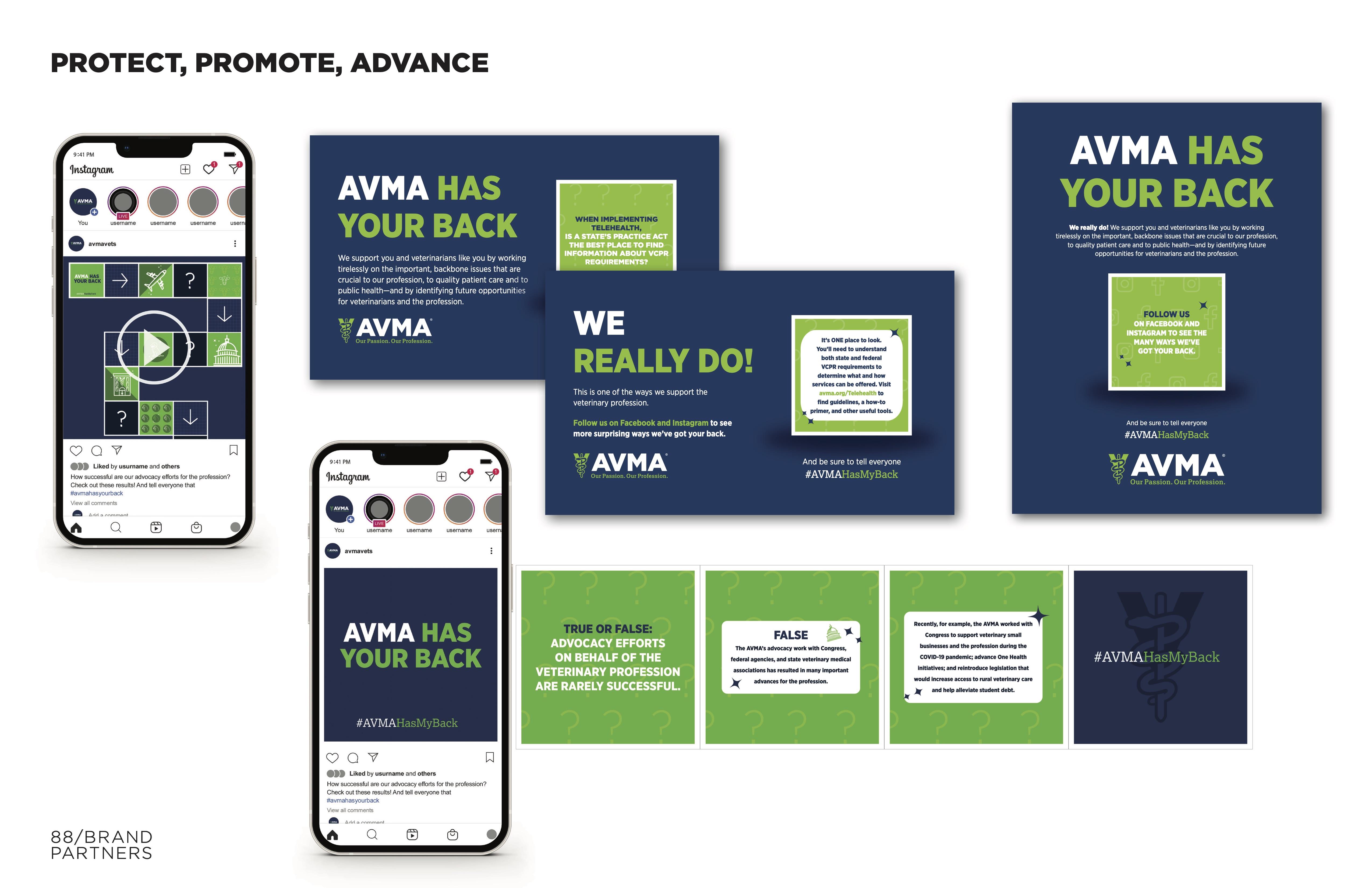 AVMA Protect, Promote, Advance Campaign