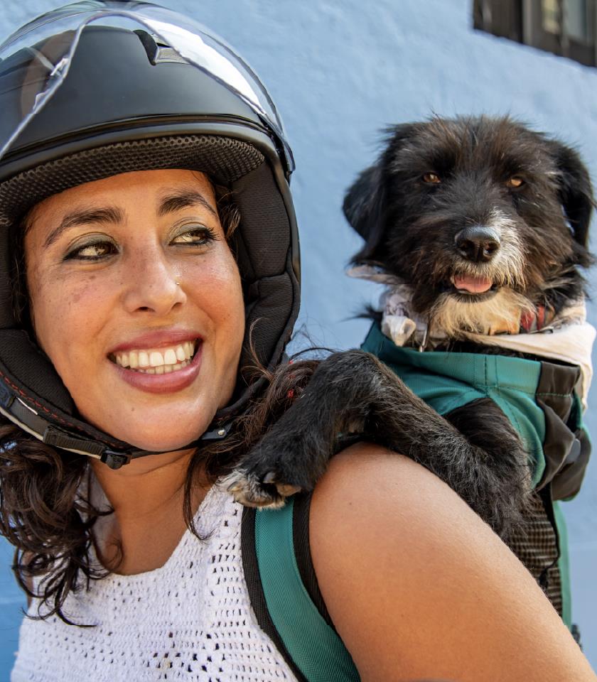 Blue Buffalo™ Answers Requests for Pet-Related Tax Deductions with “Love Made Fresh Dog Tax Credit” – Marketing Communication News