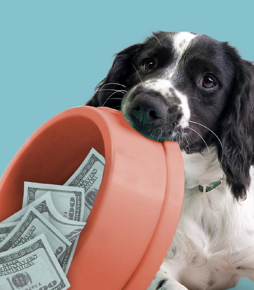 How some Americans could qualify for a $1000 