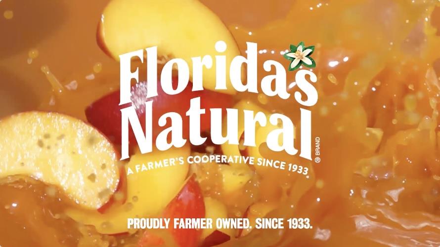 New Campaign + Website Refresh