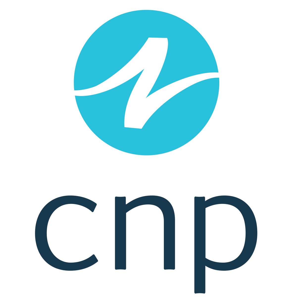 CNP - Clark/Nikdel/Powell, Inc.