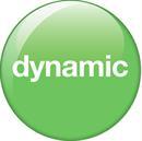 Dynamic, Inc.
