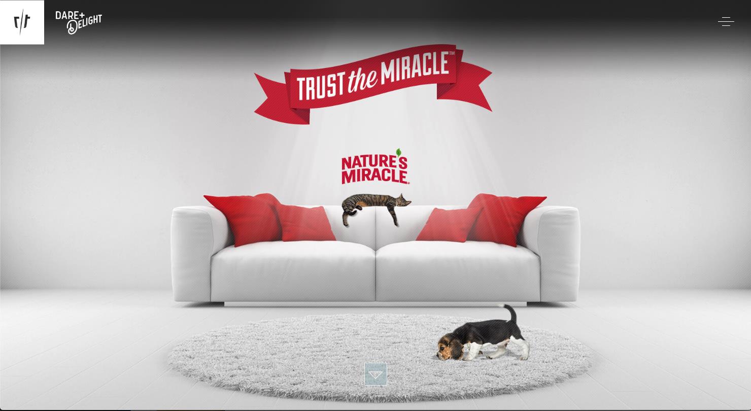 Trust the Miracle