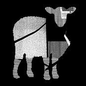 The Black Sheep Agency